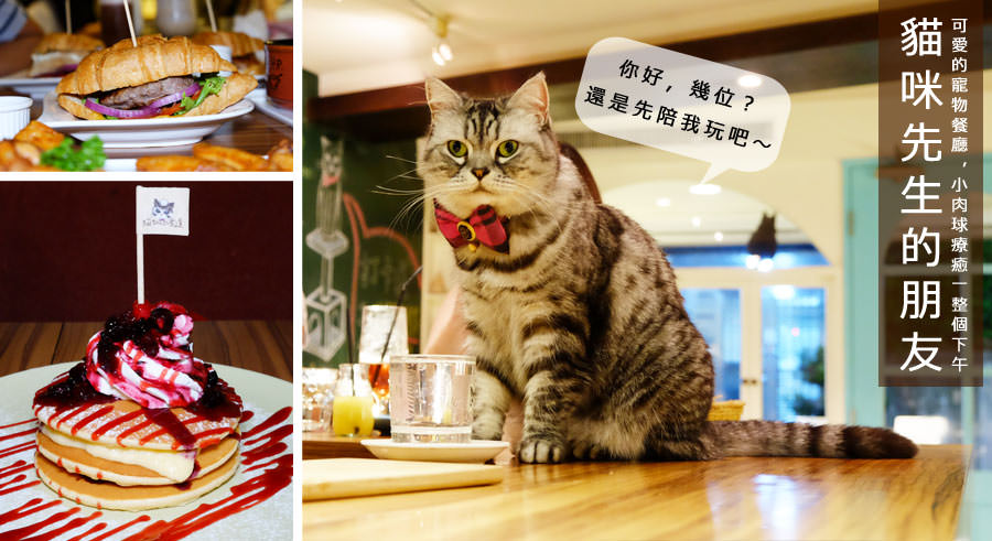 貓咪餐廳,美式煎餅,寵物餐廳,毛小孩,忠孝復興,東區,台北大安區