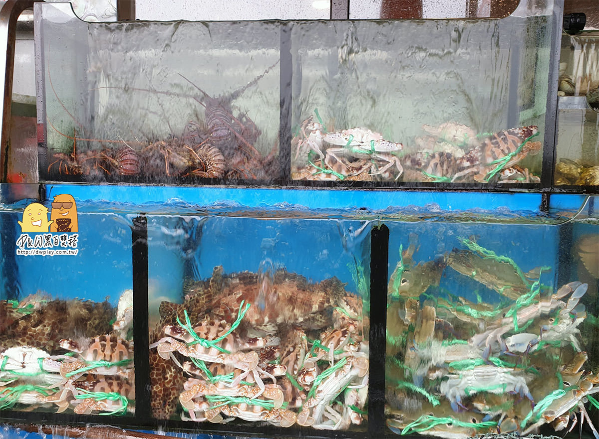 萬里,秋蟹,吃螃蟹,龜吼漁港
