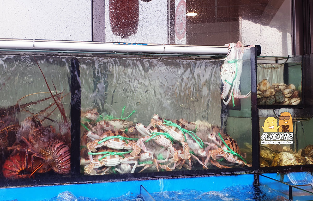 萬里,秋蟹,吃螃蟹,龜吼漁港